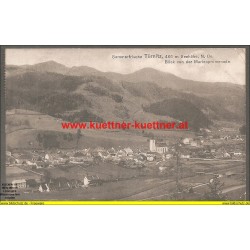 AK - Sommerfrische Türnitz - 1911 (NÖ)