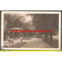 AK - Wr. Neustadt - Partie im Stadtpark - 1914 (NÖ) 
