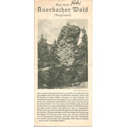Prospekt Auerbacher Wald -...