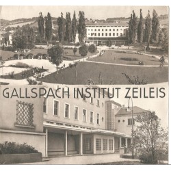 Prospekt Gallspach Institut...