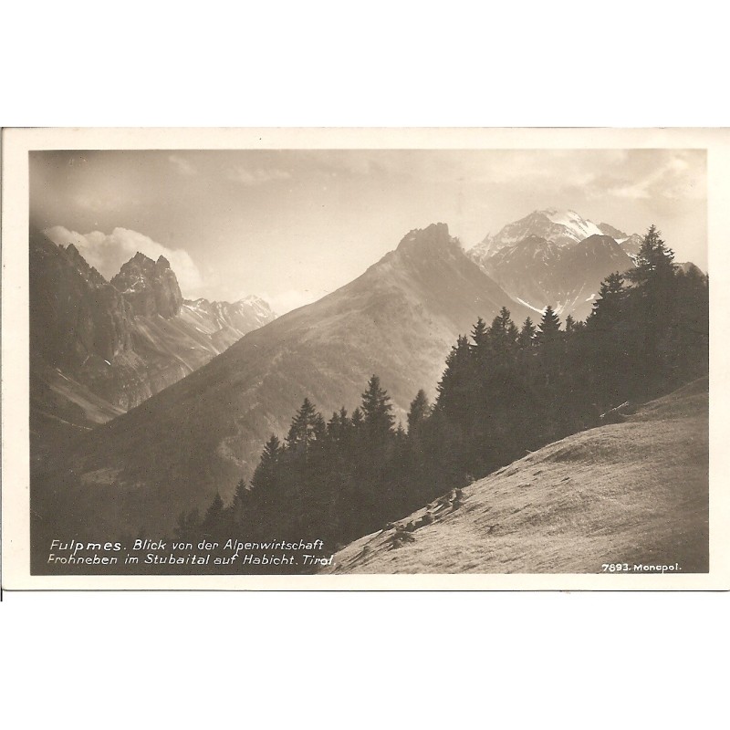 AK - Fulpmes - Blick von der Alpenwirtschaft Frohneben (T)
